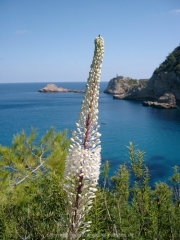 ibiza-086