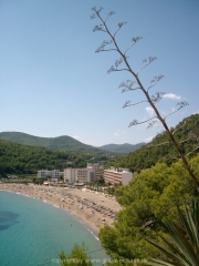 ibiza-091