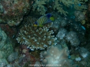 suedtour-047
