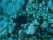 suedtour-056