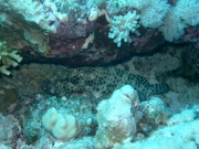 suedtour-138
