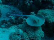 suedtour-155