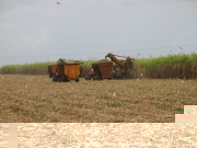 cuba-065
