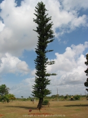 cuba-075
