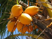 cuba-076