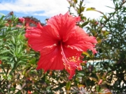 cuba-010