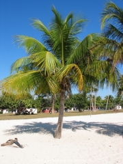 cuba-020