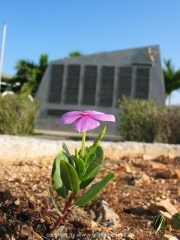 cuba-034