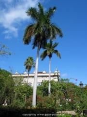 cuba-044