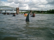 rheinschwimmen-49