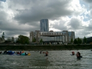 rheinschwimmen-57