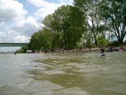 rheinschwimmen-66