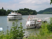 rheinschwimmen-024