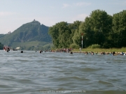 rheinschwimmen-075
