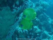 deep-south-011