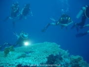 deep-south-021