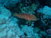 deep-south-031