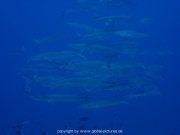 deep-south-037
