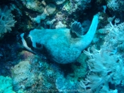 deep-south-063