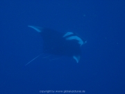 deep-south-076