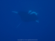 deep-south-077