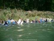 isarschwimmen-23