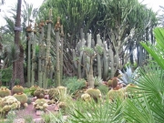 alicante-40