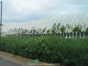 valencia-14
