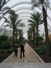 valencia-57