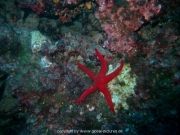 ibiza-05