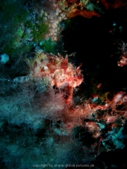 ibiza-58
