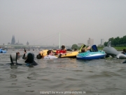 rheinschwimmen-38