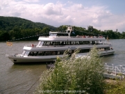 rheinschwimmen-023