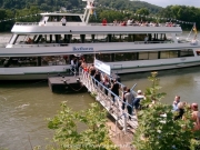 rheinschwimmen-024