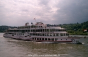 rheinschwimmen-031