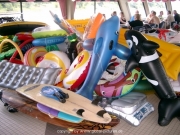 rheinschwimmen-032