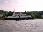 rheinschwimmen-066