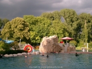 rheinschwimmen-085