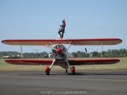 hangelar-71