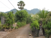 bali-042