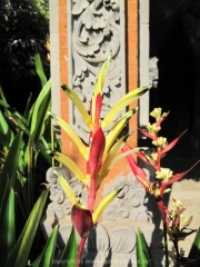 bali-097