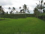 bali-132