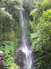 bali-137