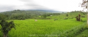 bali-149