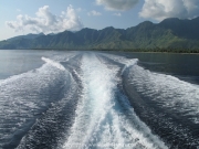 bali-dive-050