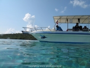 bali-dive-051