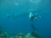 bali-dive-067