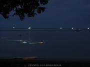 bali-dive-083