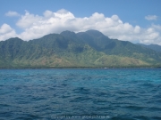 bali-dive-105