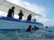 bali-dive-112